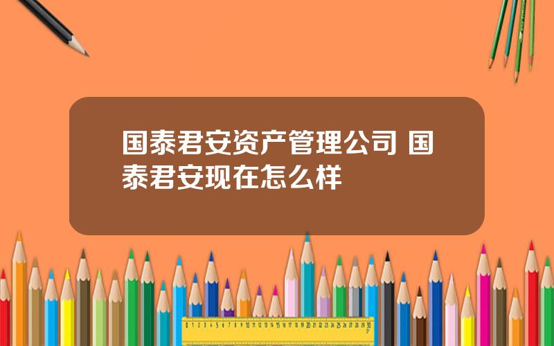 国泰君安资产管理公司 国泰君安现在怎么样